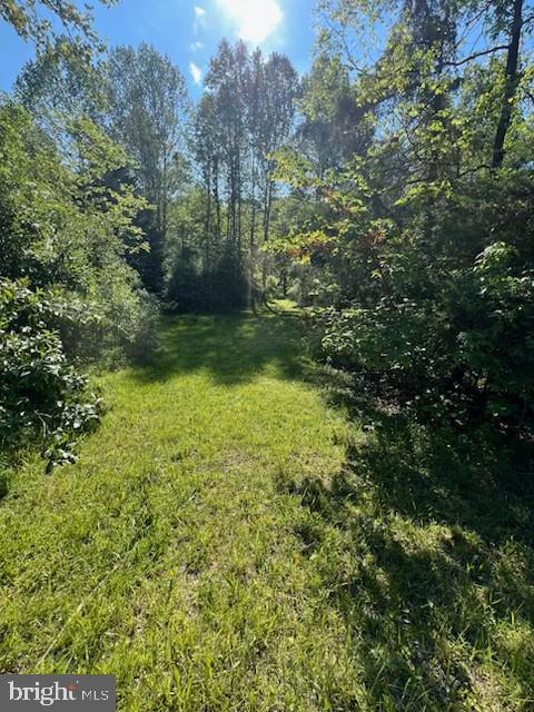 107 Shady Creek Ln