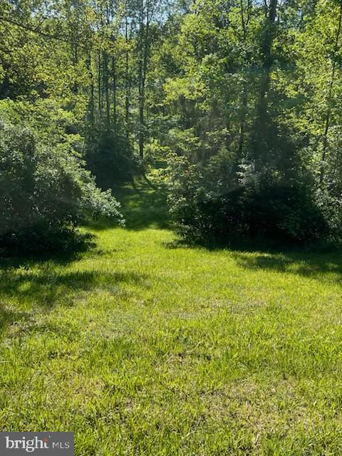 107 Shady Creek Ln