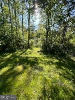 107 Shady Creek Ln