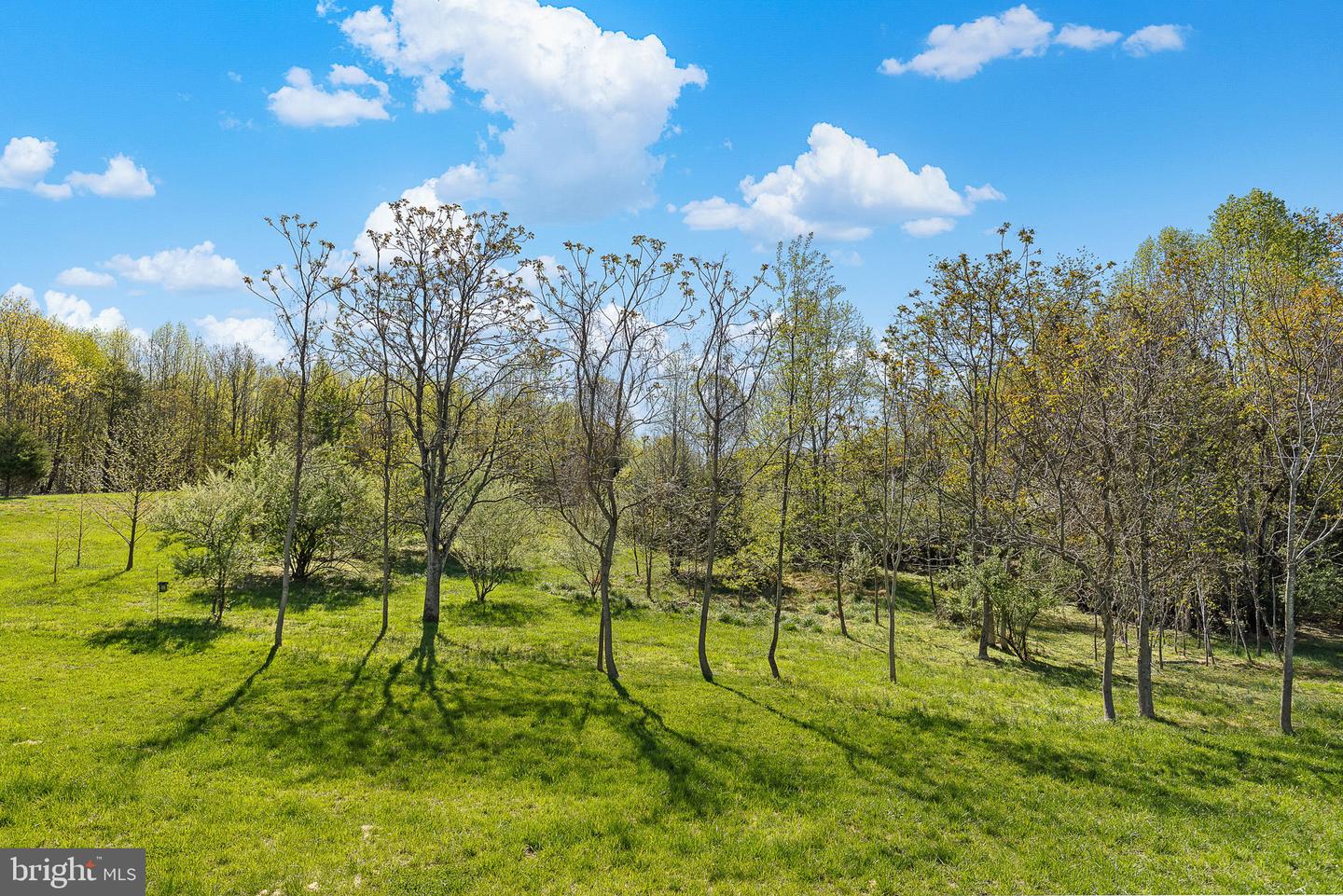 316 Liberty Hall Dr