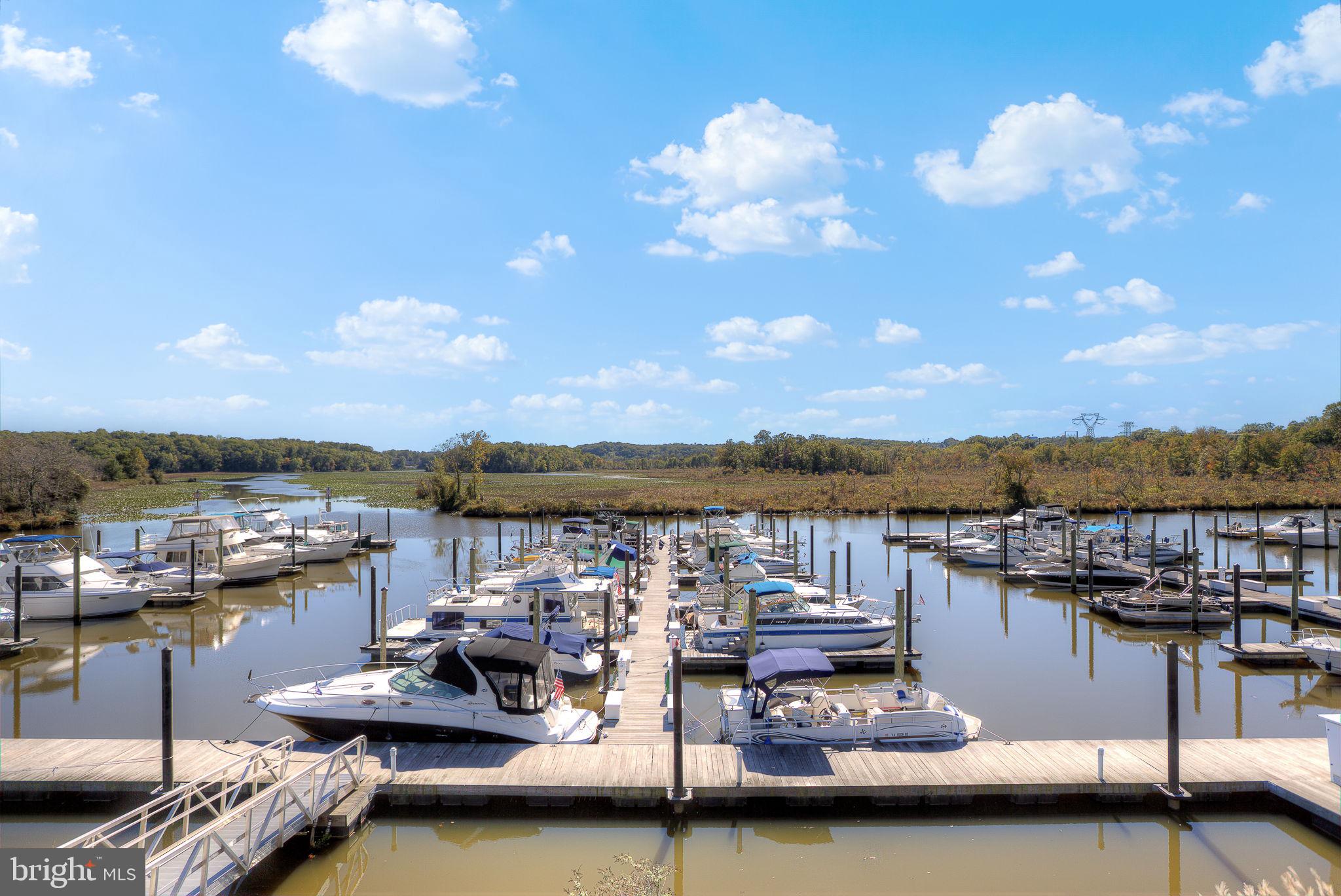 1008 Harbour Dr