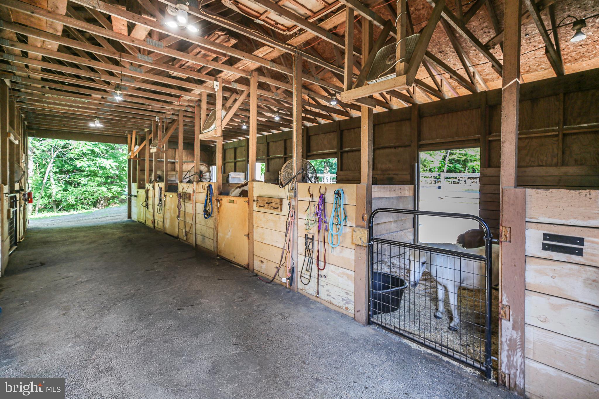 1000 QUEEN ANNE DRIVE