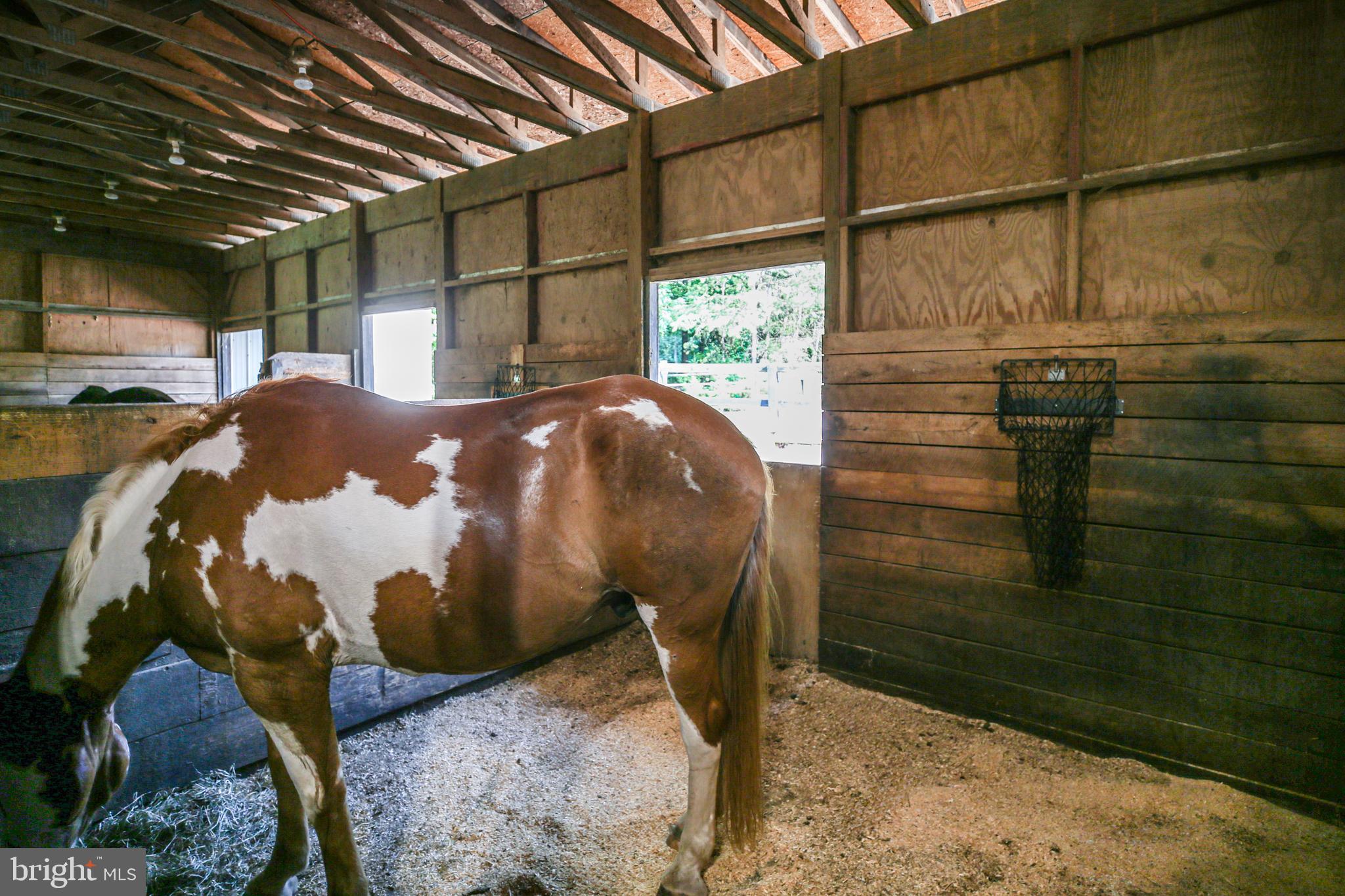 1000 QUEEN ANNE DRIVE