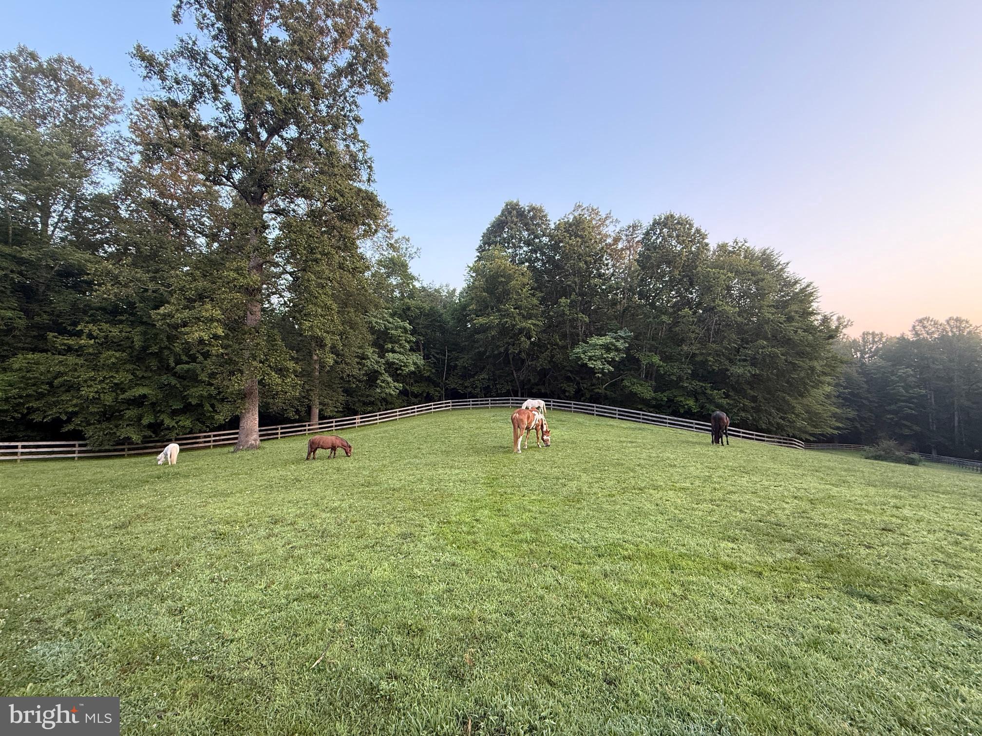 1000 QUEEN ANNE DRIVE