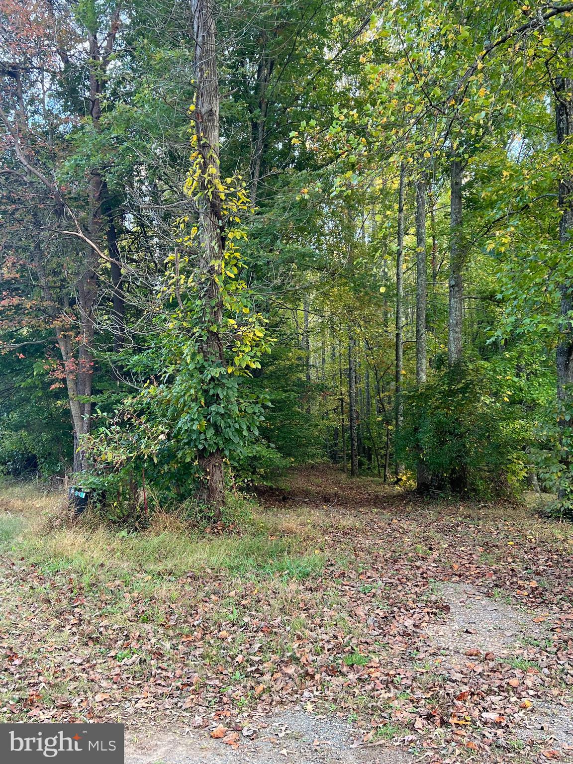 2617 Warrenton Rd