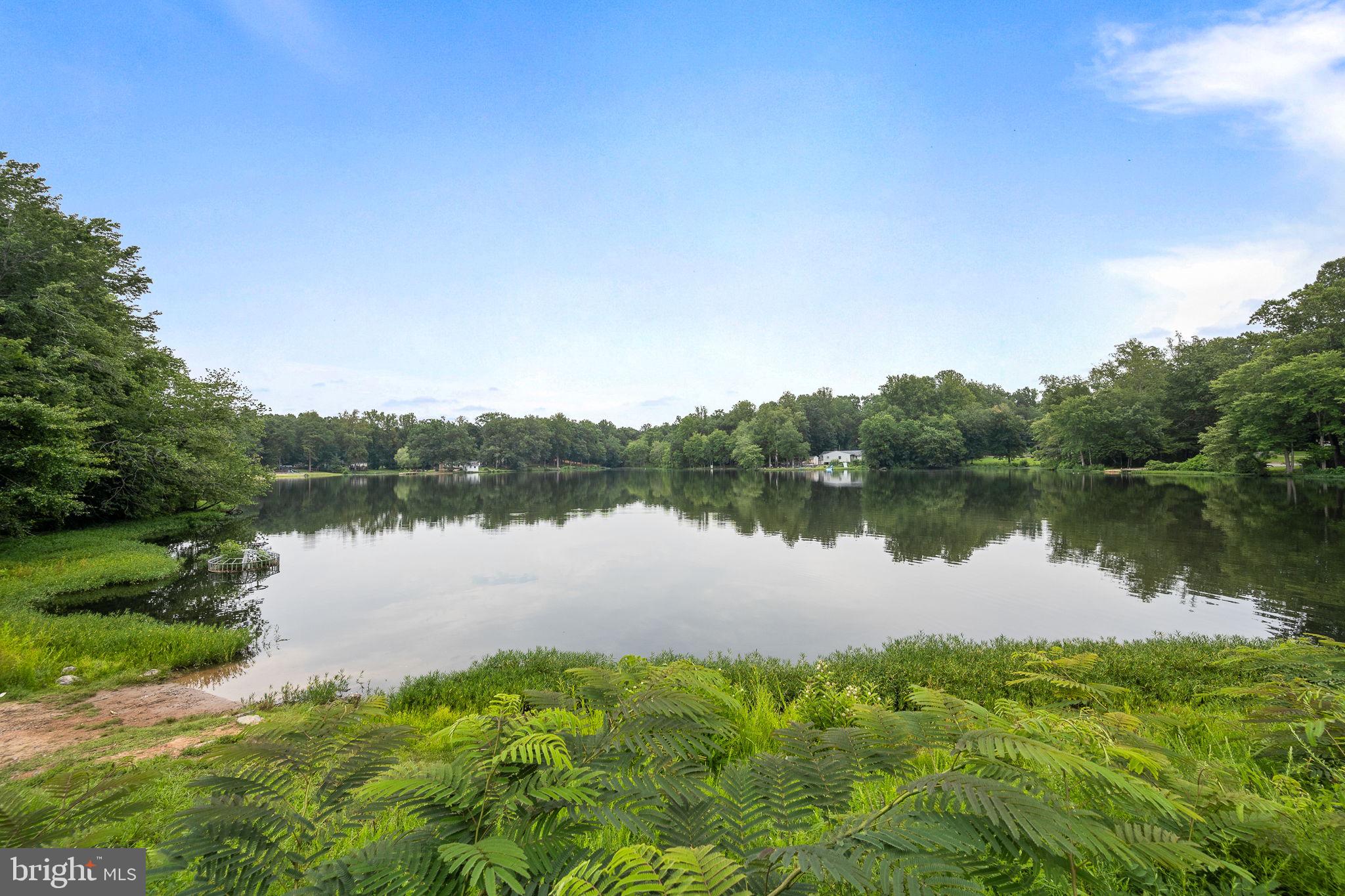 1 Beech Dr
