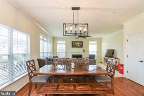 8 HALITE CT