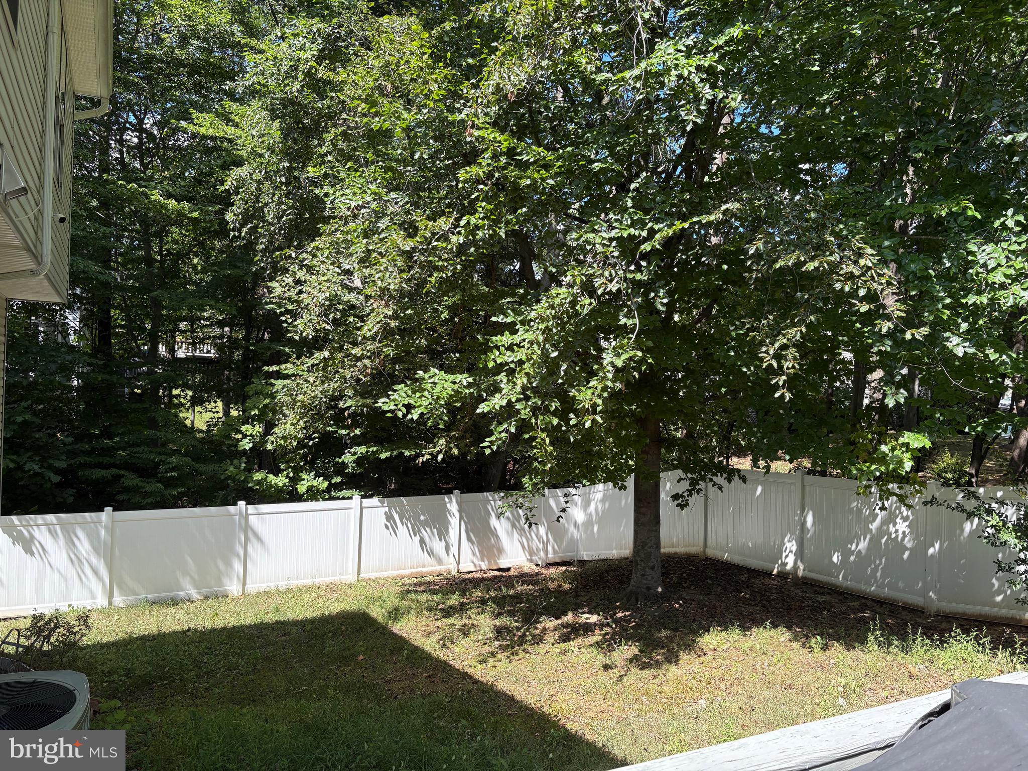 71 DOROTHY LN