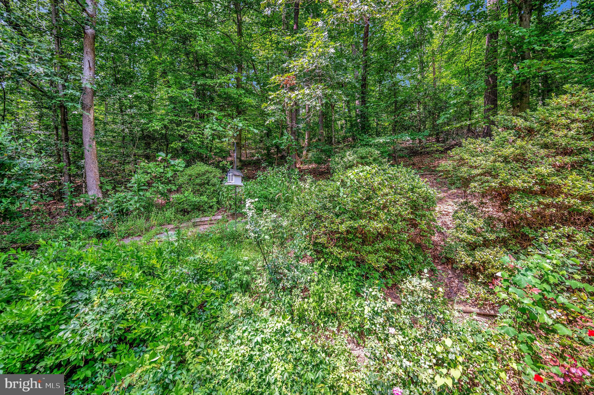 104 Dent Rd