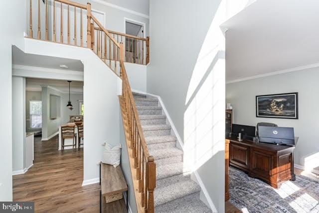 4 MORRISSEY STONE COURT