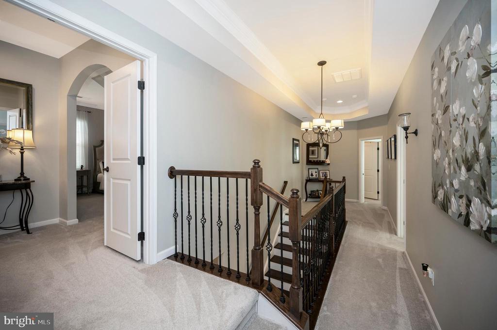 20 GENEVIEVE COURT