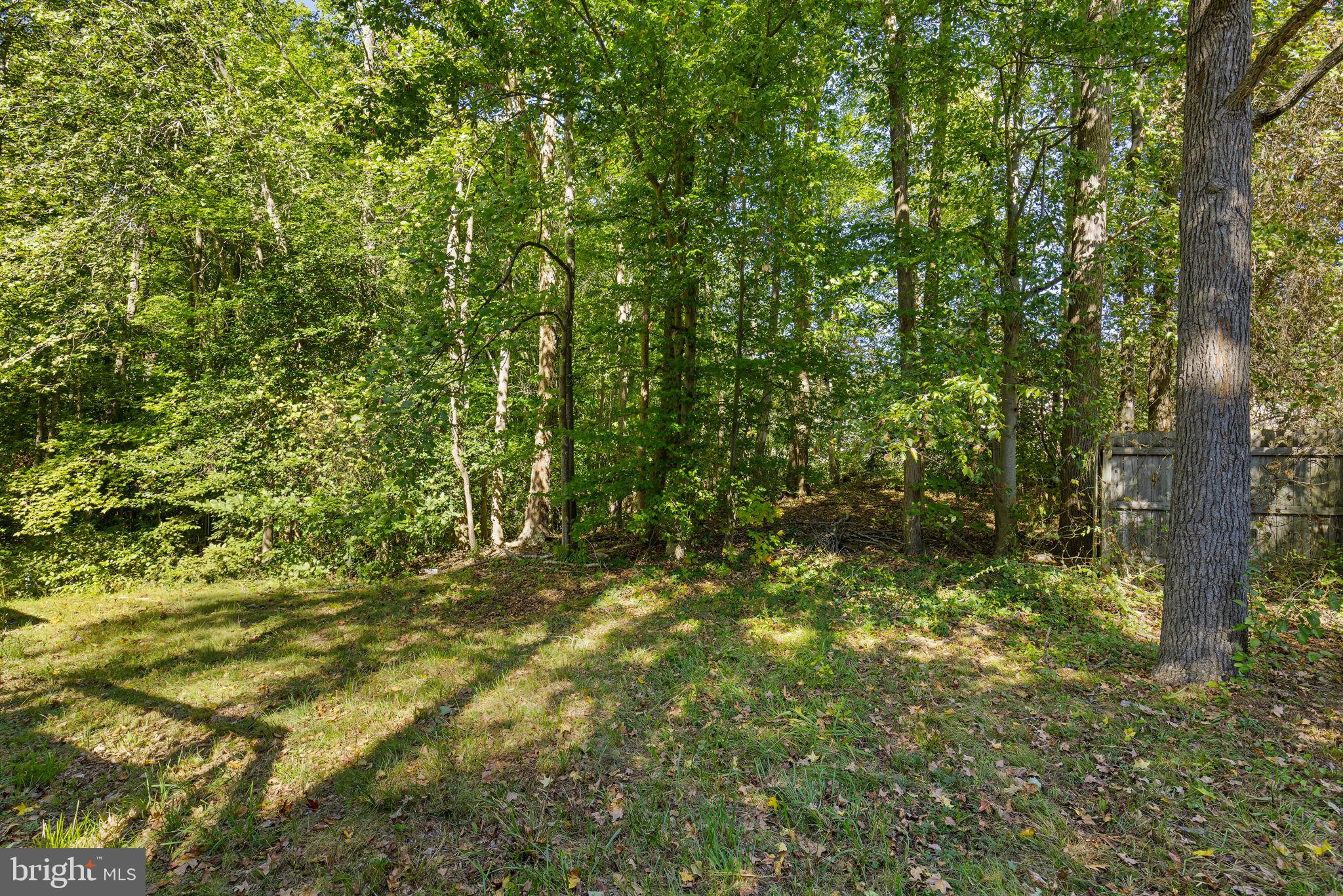 1703 SHERWOOD