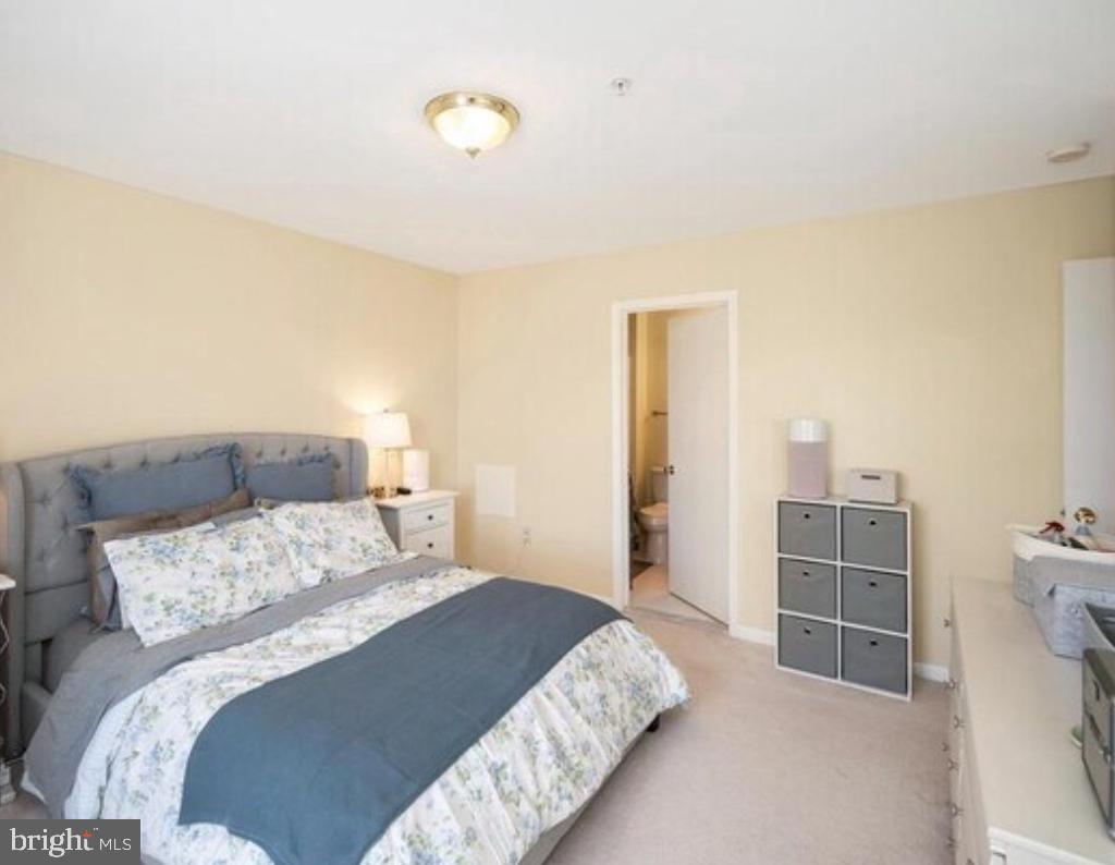 43 WHITE PINE CIRCLE 303