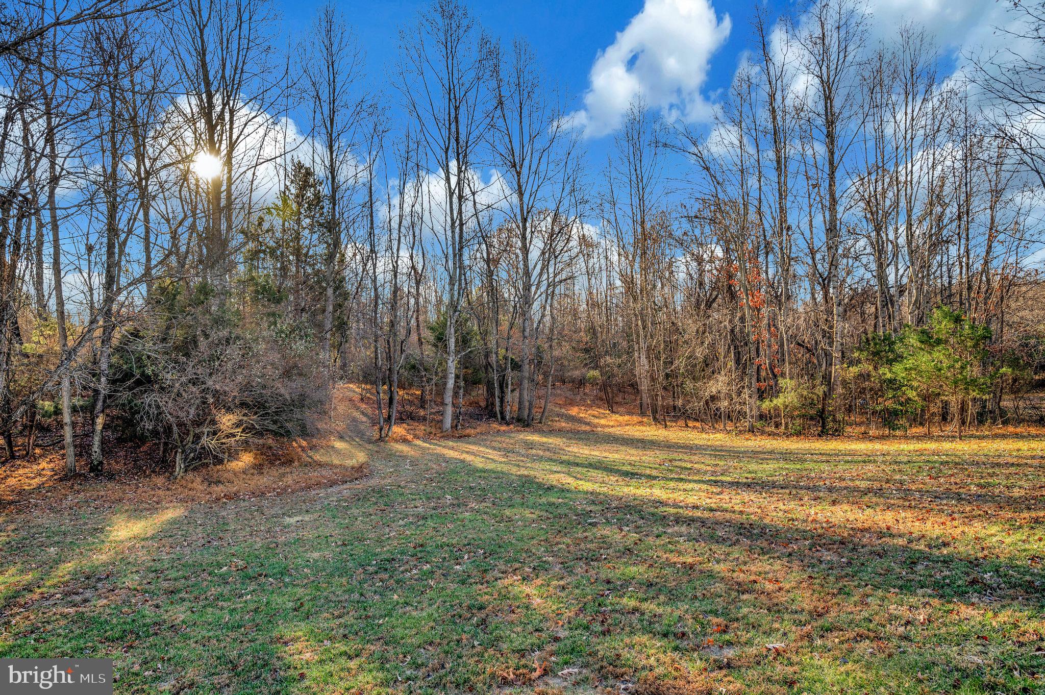 314 LIBERTY HALL DRIVE