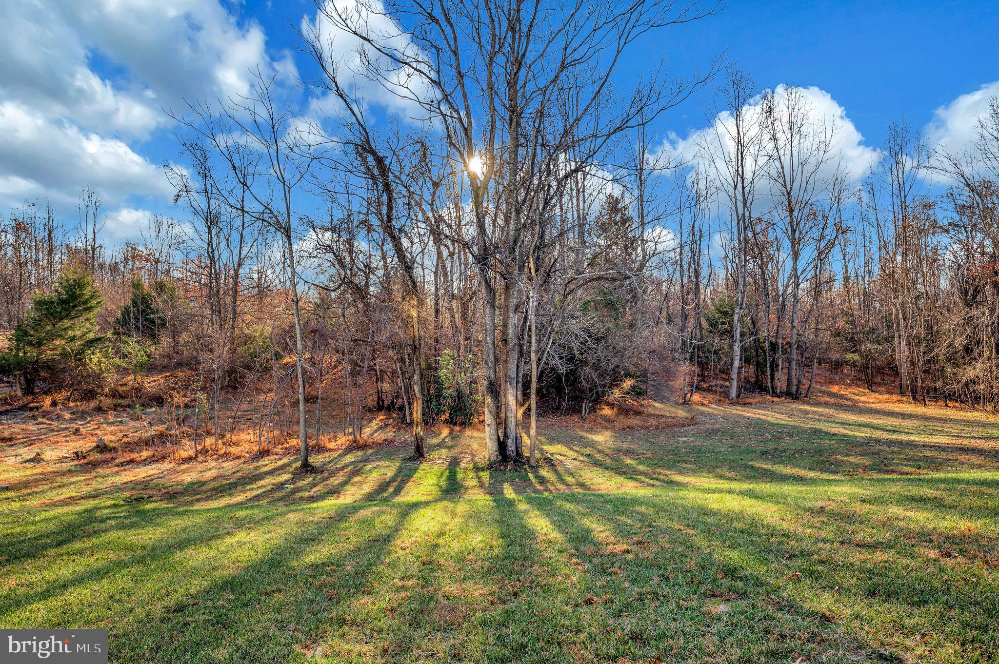 314 LIBERTY HALL DRIVE