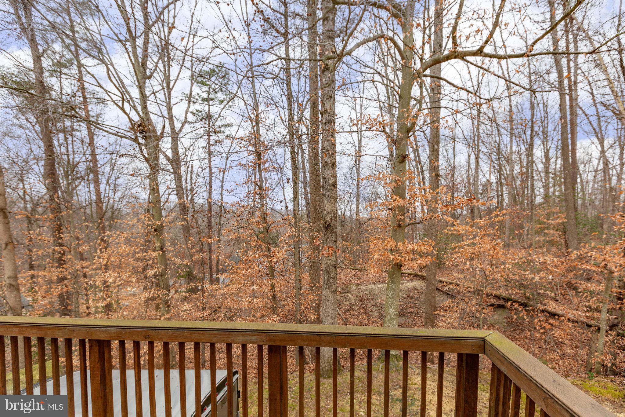 12 BELLS RIDGE DRIVE