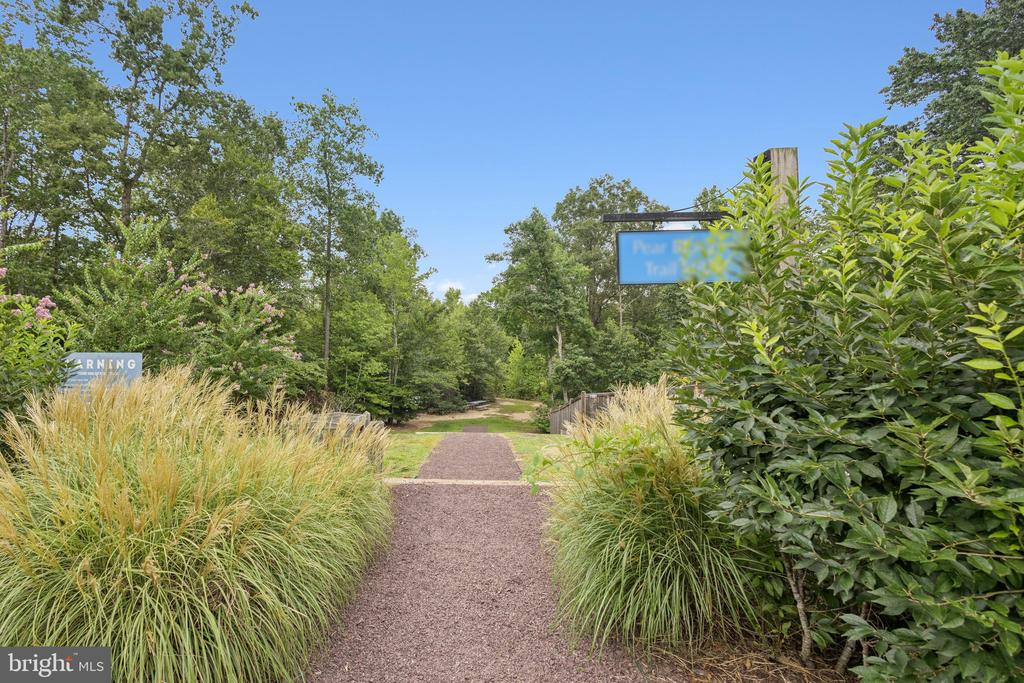 930 FORSYTHIA LANE