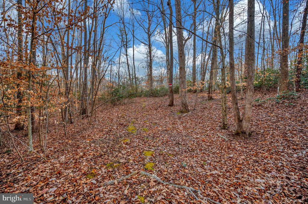 93 DENT ROAD
