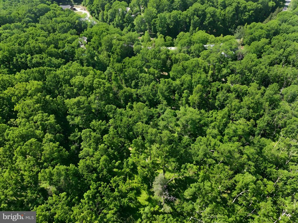 93 DENT ROAD