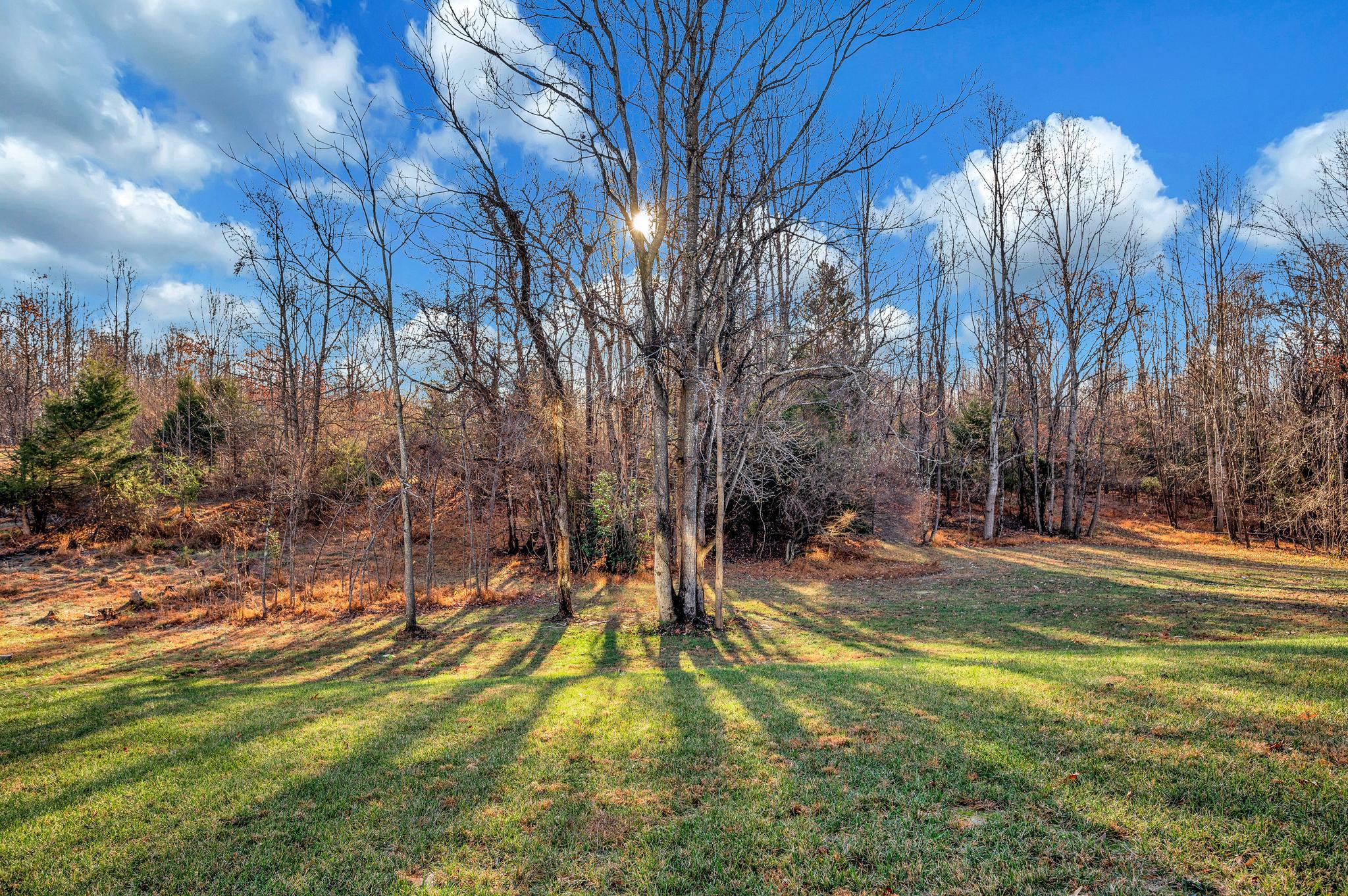 314 LIBERTY HALL DRIVE