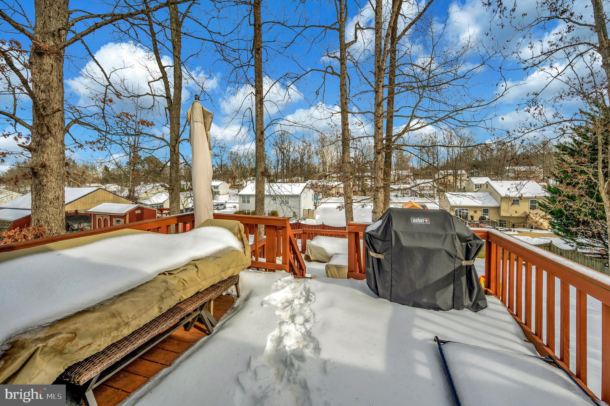 228 CHOPTANK ROAD