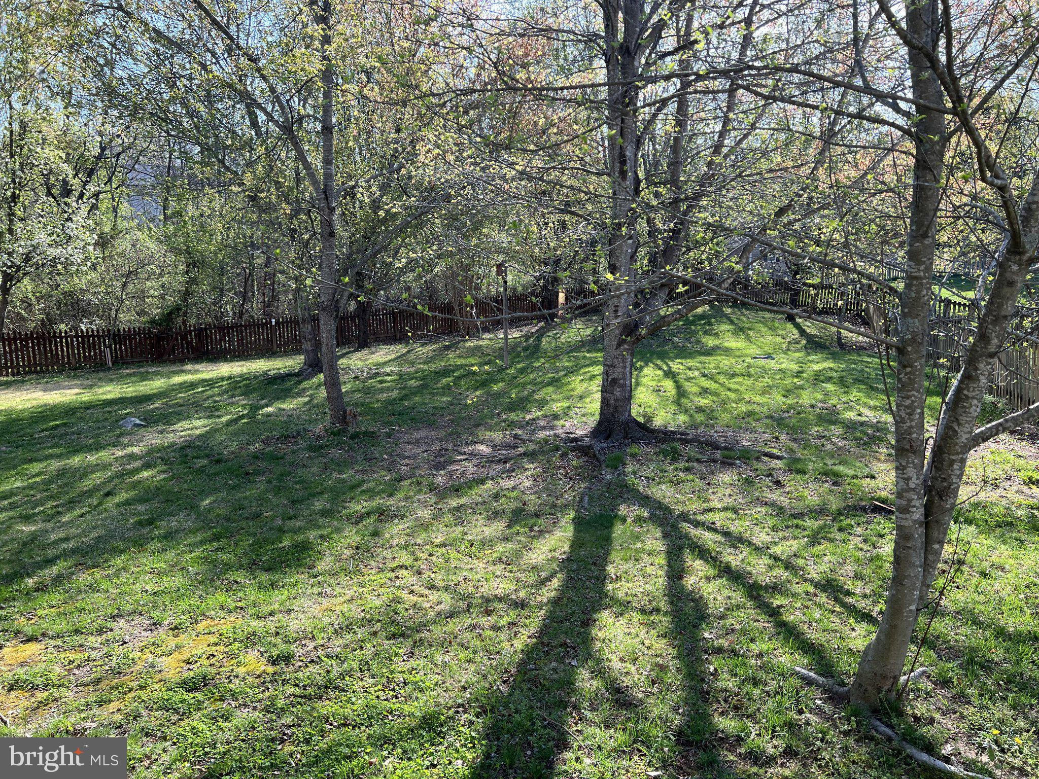 162 BUSH HILL COURT