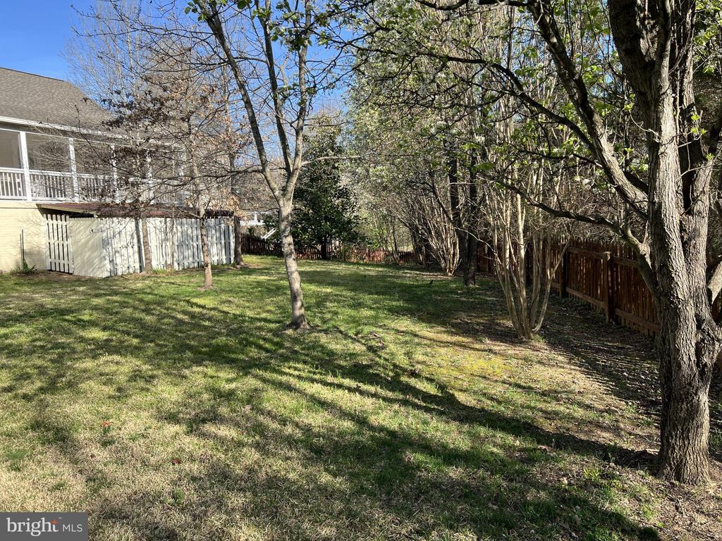 162 BUSH HILL COURT
