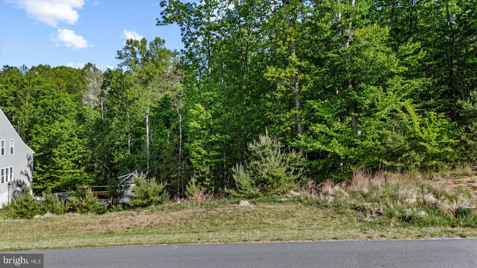 ROCK RAYMOND DRIVE