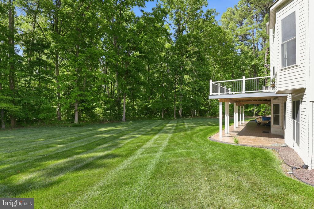 56 MONUMENT DRIVE