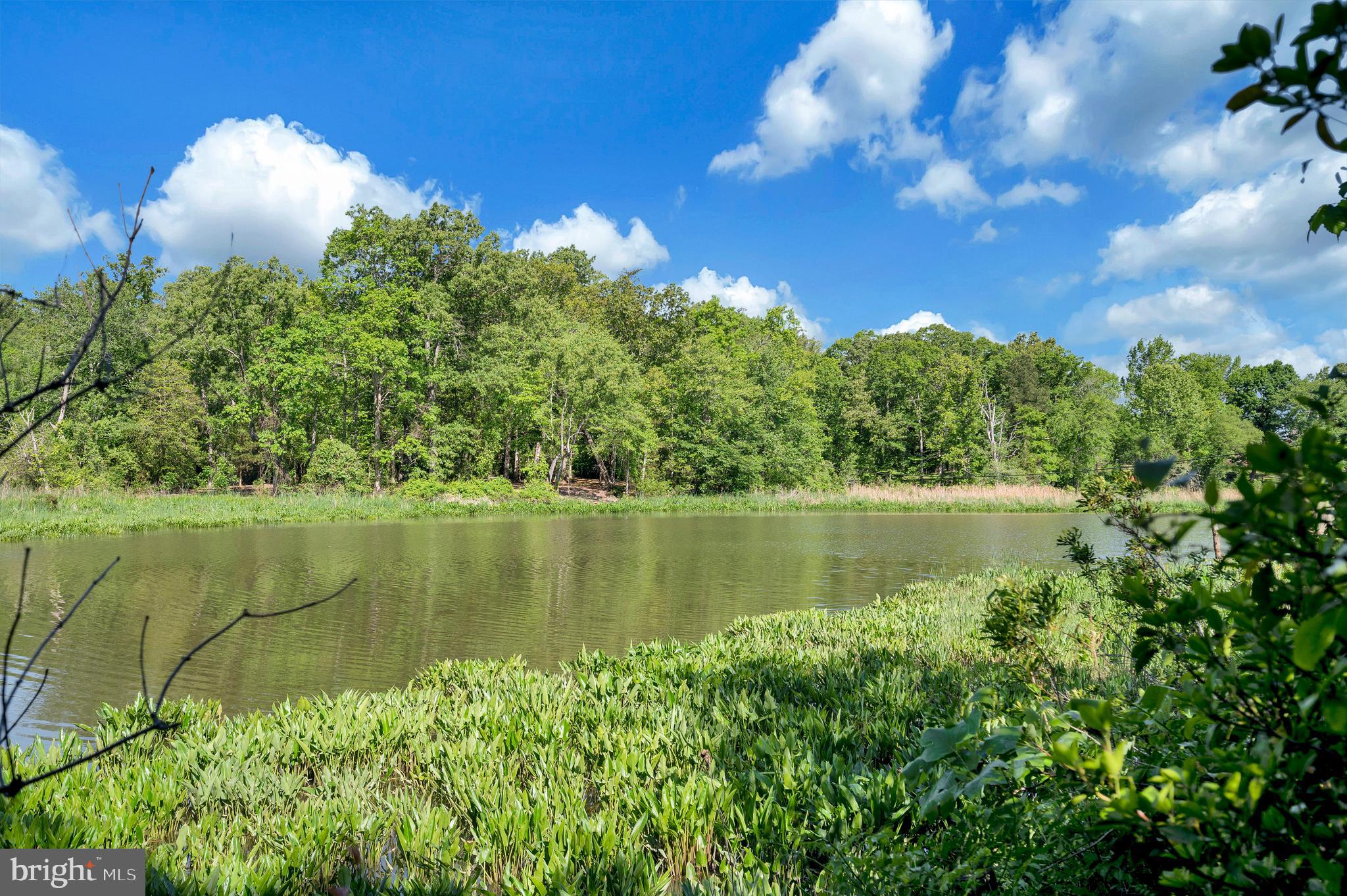 379 WOOD LANDING ROAD