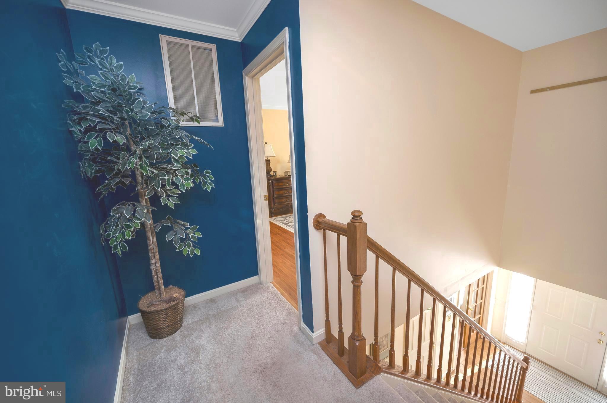 5 OLIVER COURT