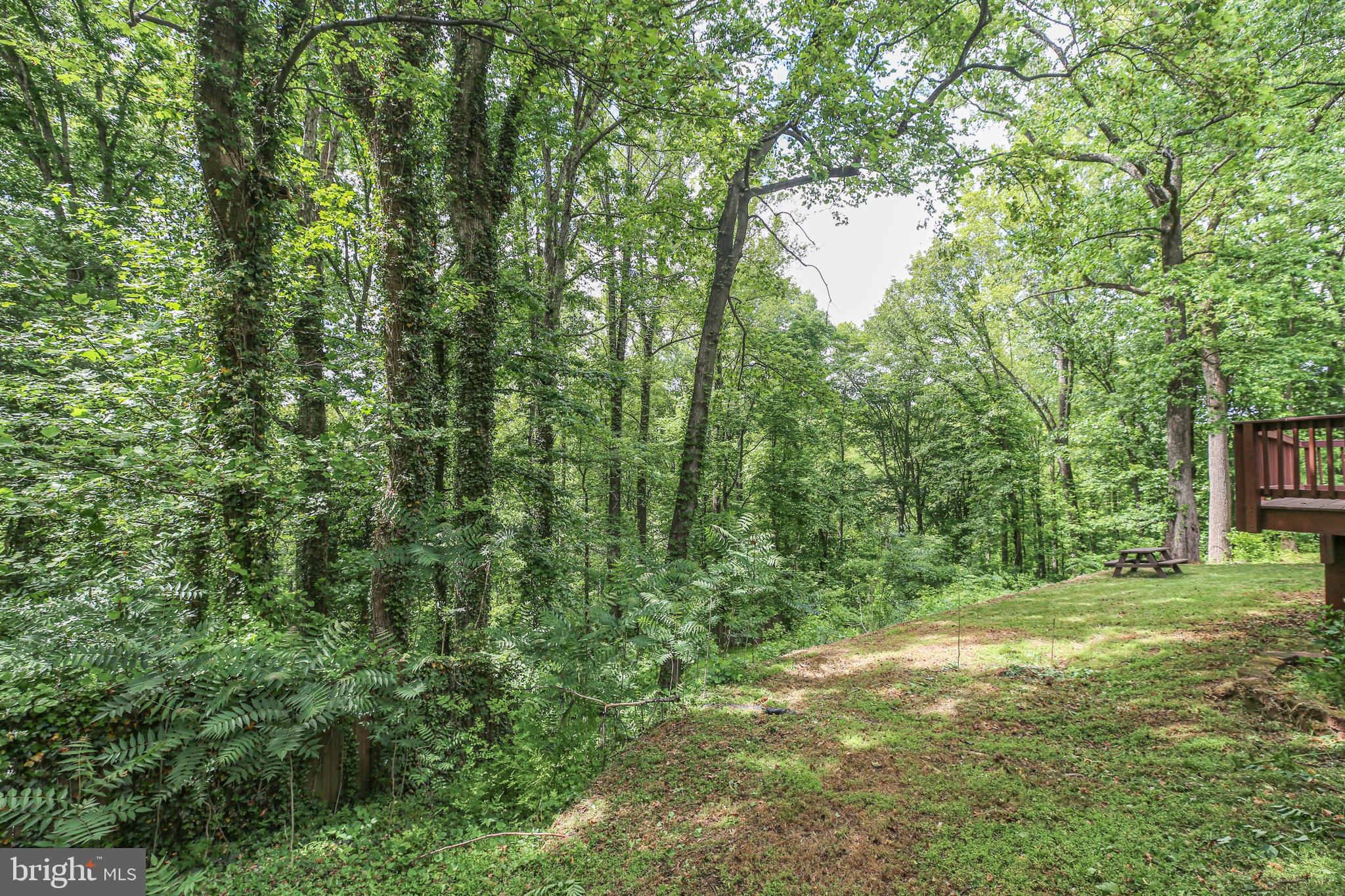 289 SANDY RIDGE ROAD