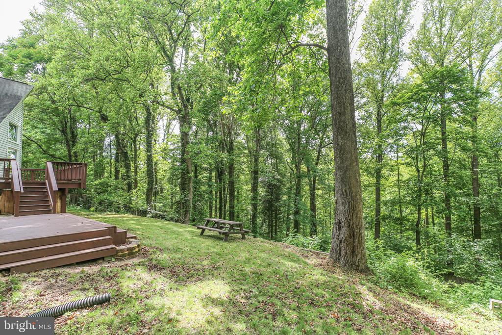 289 SANDY RIDGE ROAD
