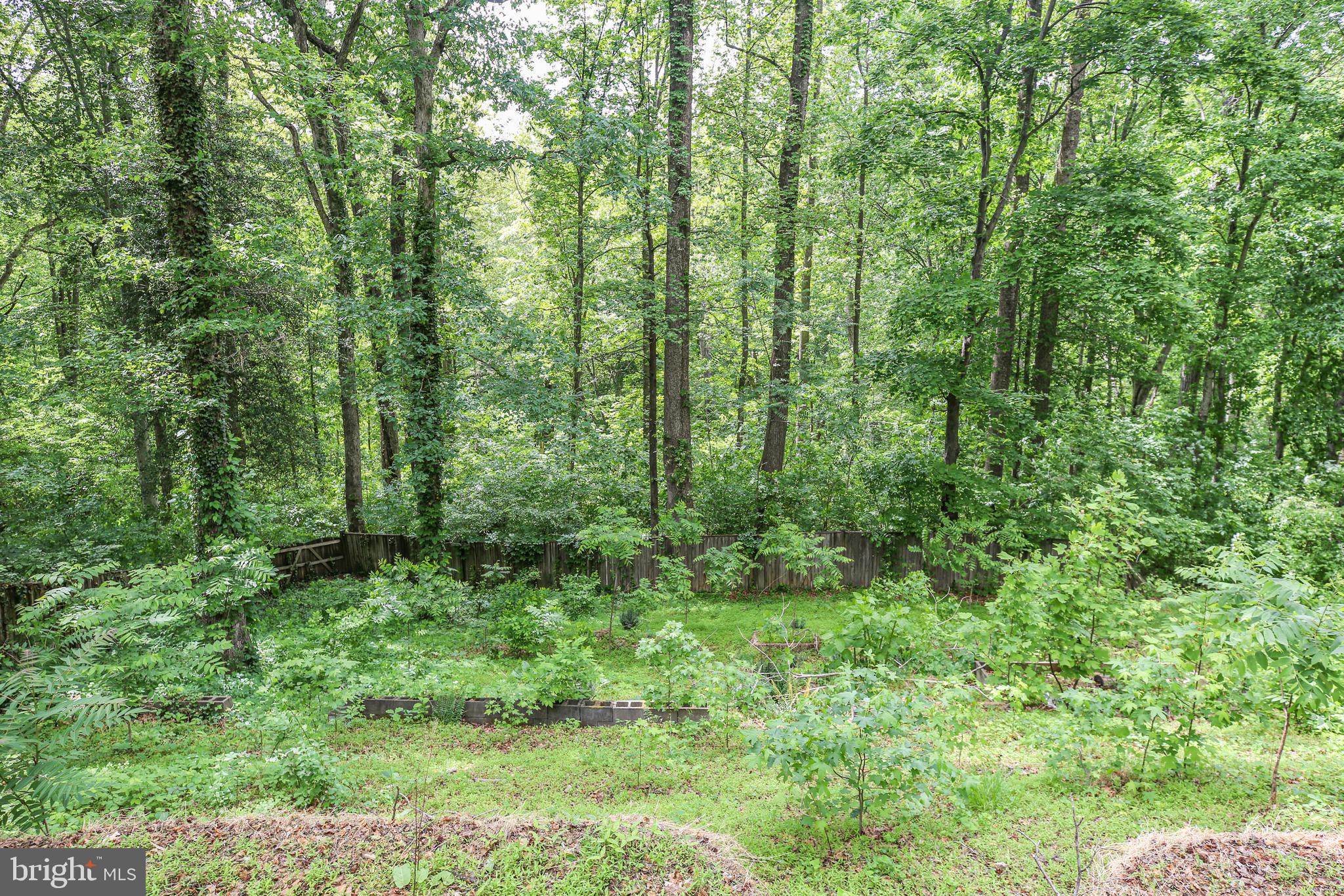 289 SANDY RIDGE ROAD