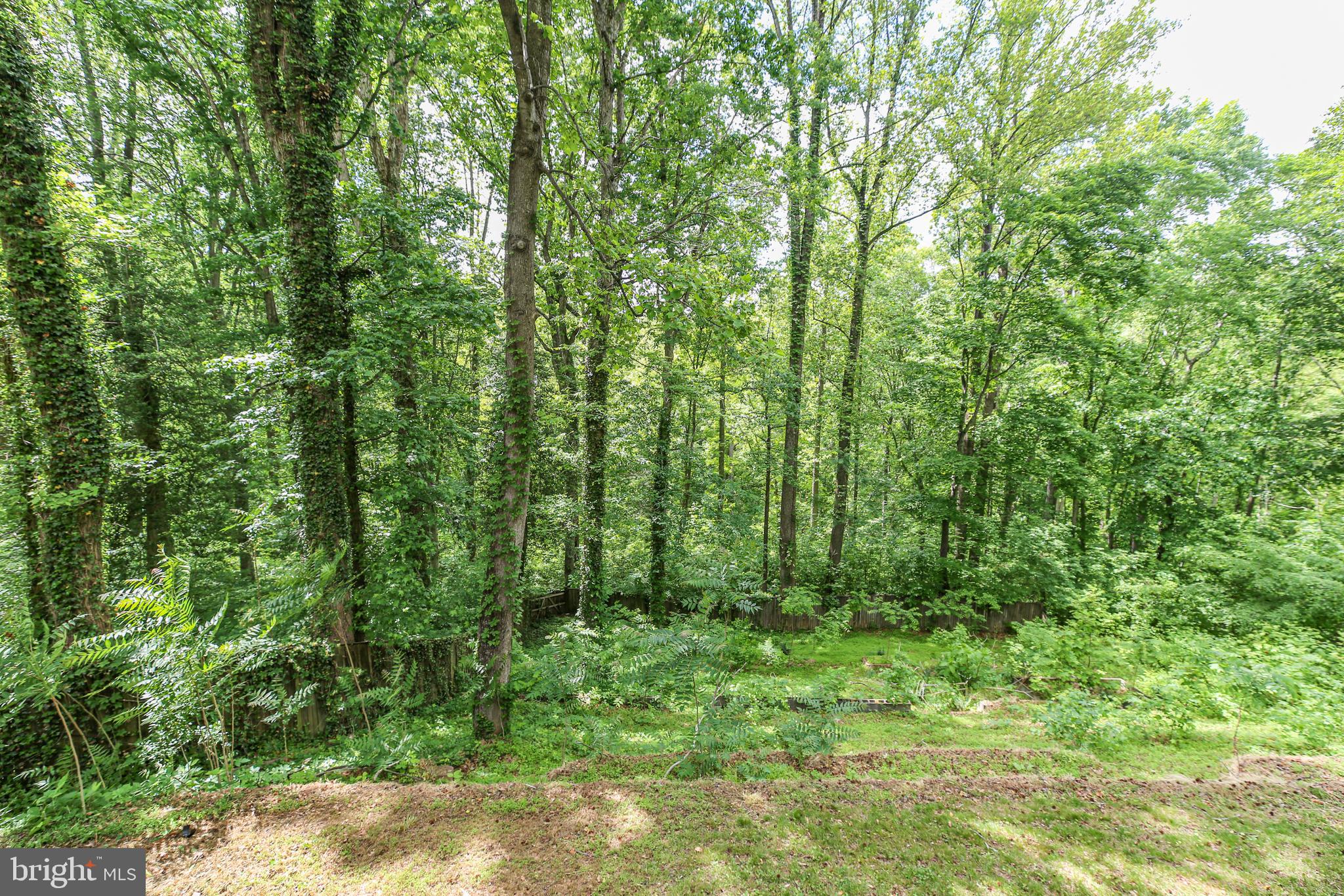 289 SANDY RIDGE ROAD