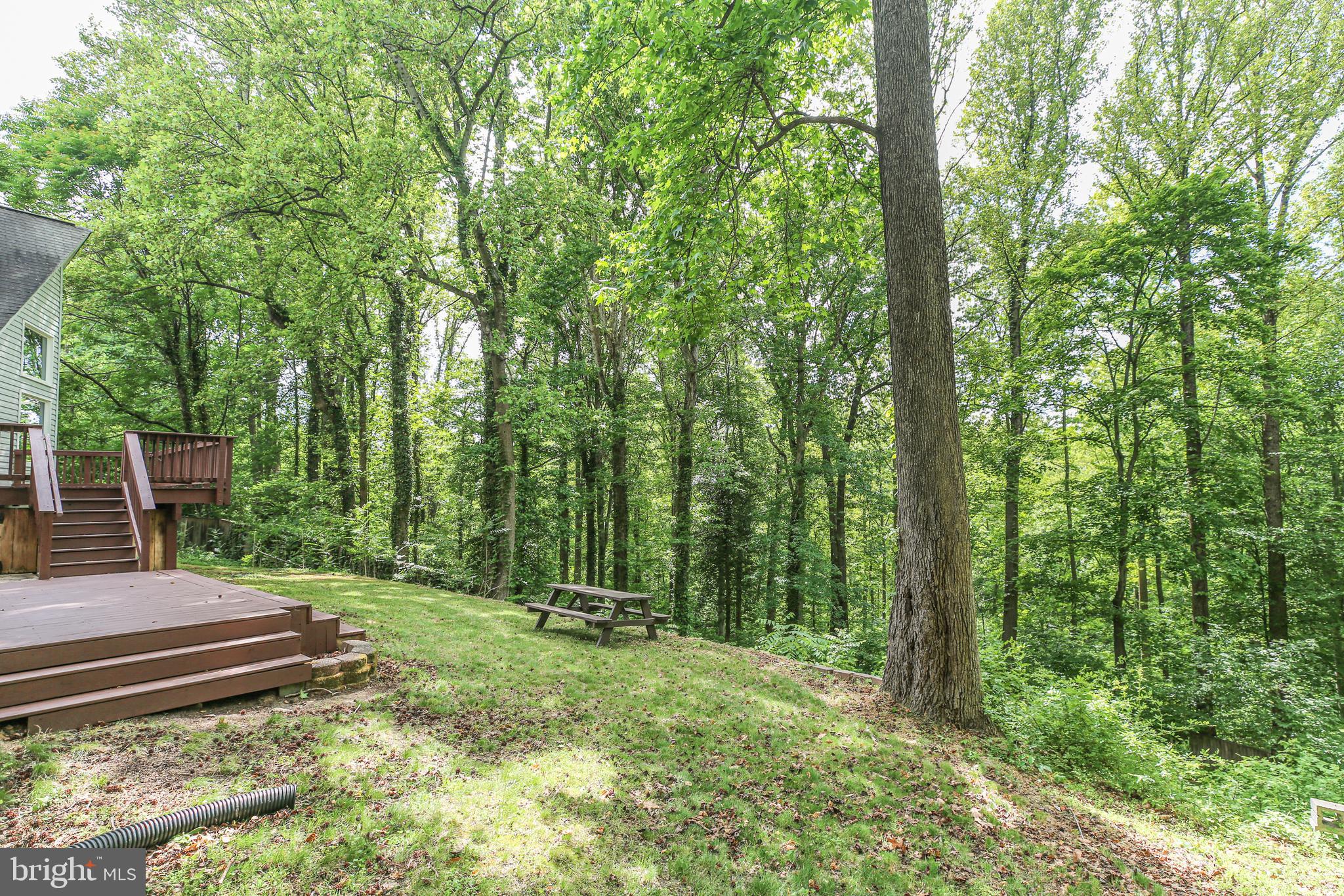 289 SANDY RIDGE ROAD