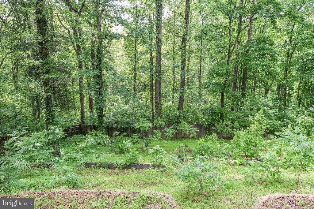 289 SANDY RIDGE ROAD