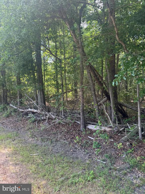 MALLARD RD