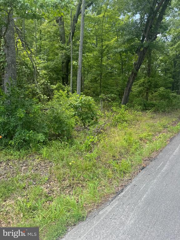MALLARD RD