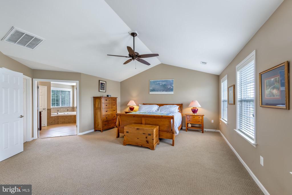 20 DEWITT ROAD