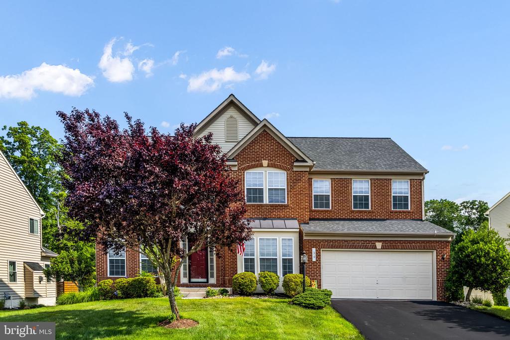 20 DEWITT ROAD