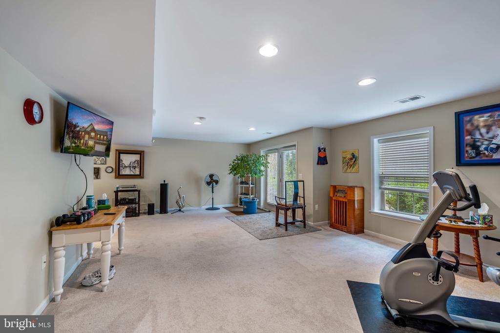 20 DEWITT ROAD