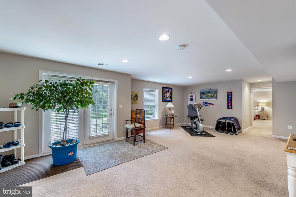 20 DEWITT ROAD