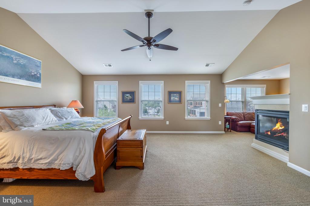 20 DEWITT ROAD