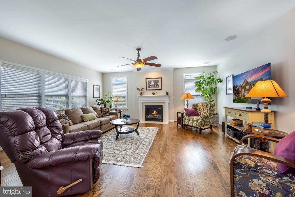 20 DEWITT ROAD