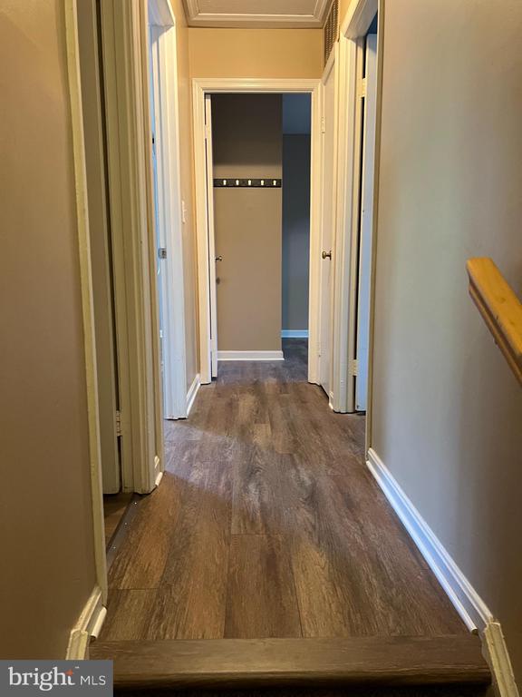 3 BIRCH LANE
