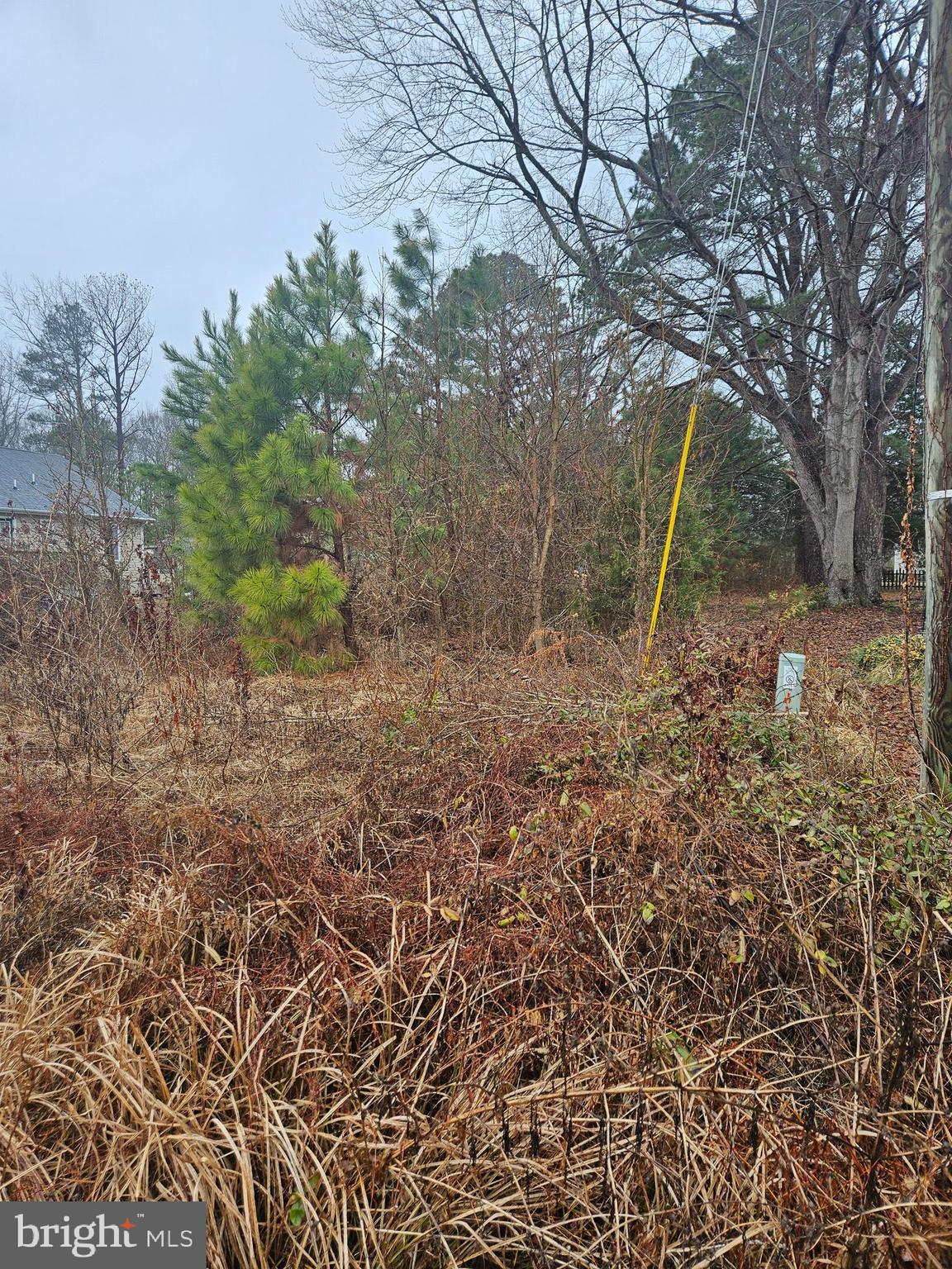 0 Randall Rd UNKNOWN