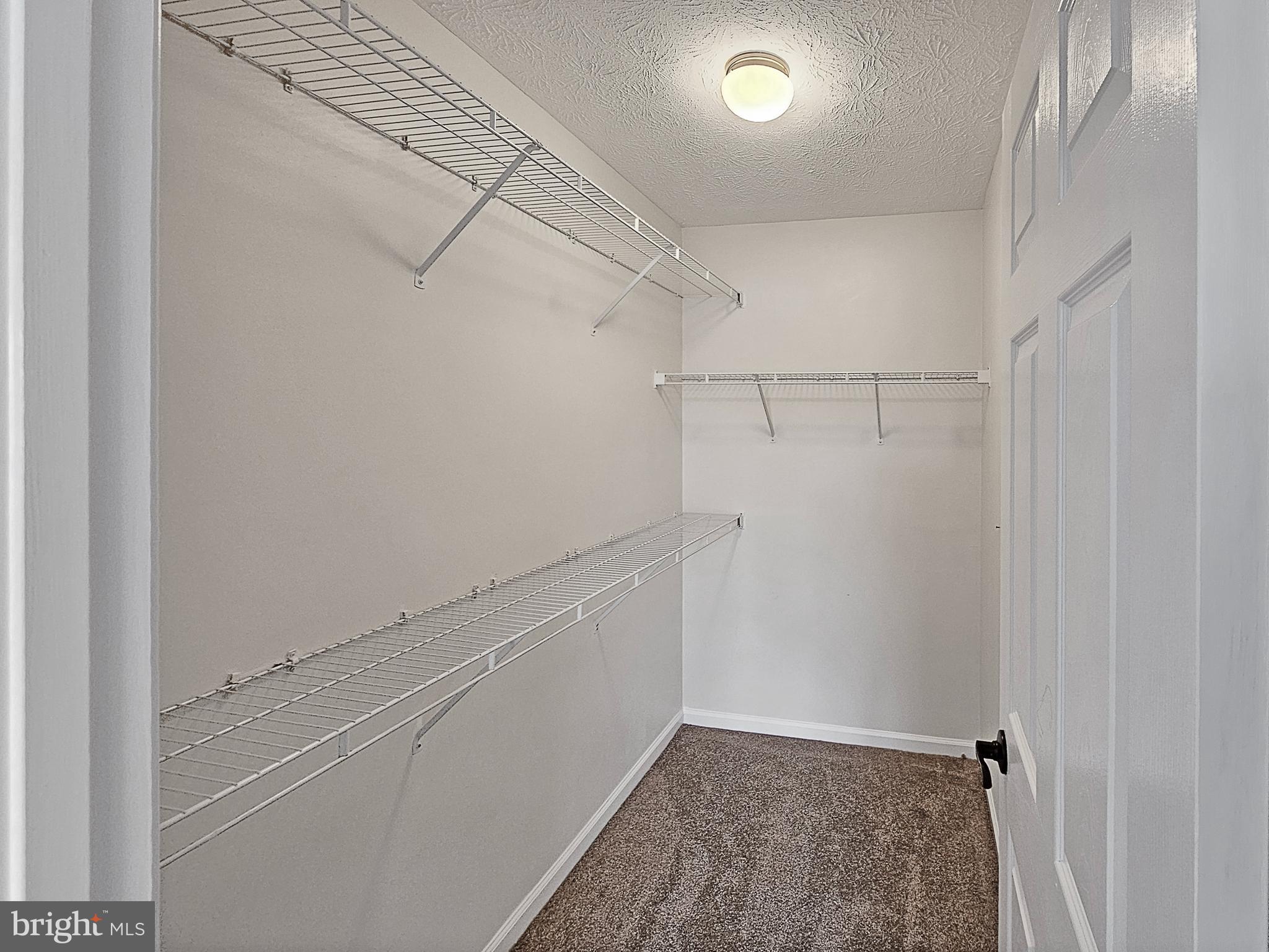 2036 STONELEIGH DRIVE