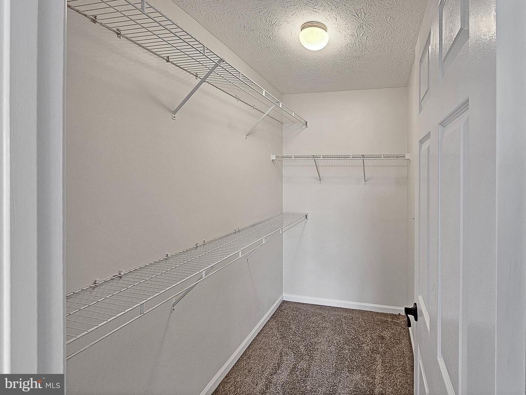 2036 STONELEIGH DRIVE