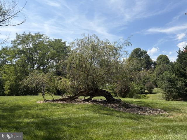 1847 MELVOR LANE